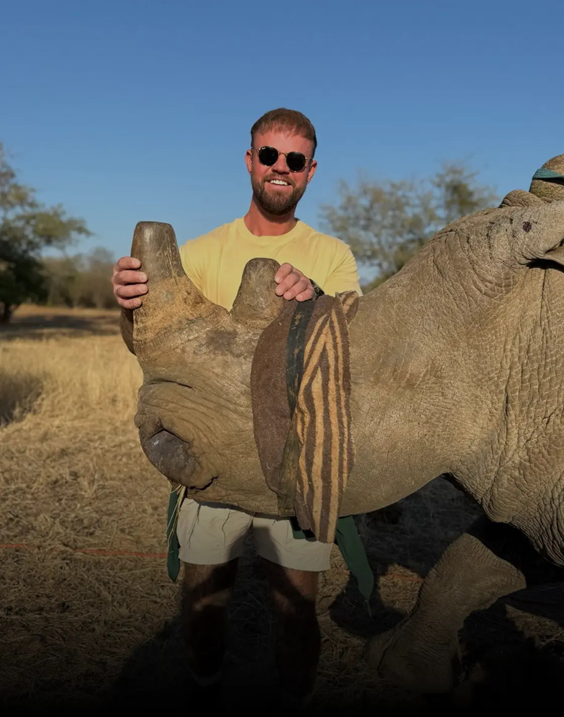 Photo of a volunteer standing with an adult rhino after successfully treating it for a poaching injury in Africa