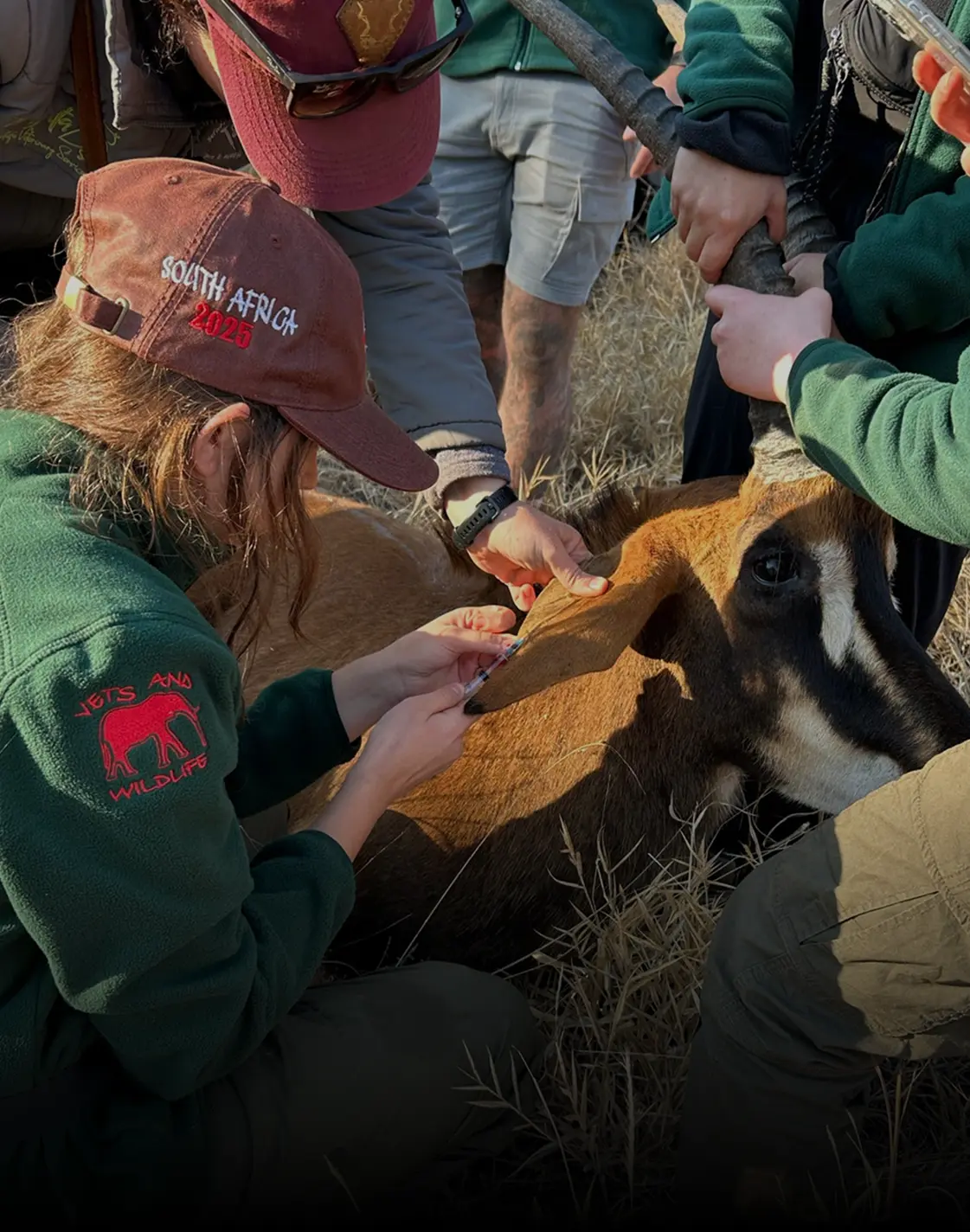 Photo of volunteers learning veterinary skills in a hands-on training session in Africa