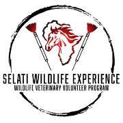 Selati Wildlife Experience Logo